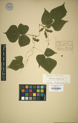 LE 01024874