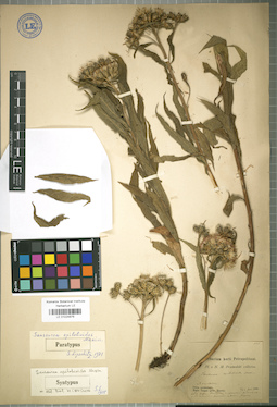 LE 01024876
