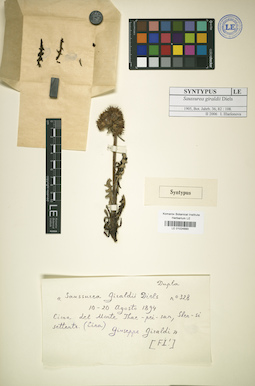 LE 01024890