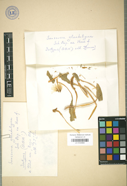 LE 01024892