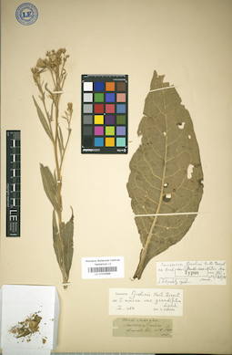 LE 01024896