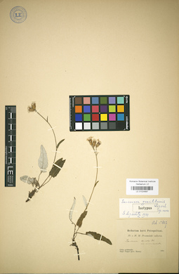 LE 01024897