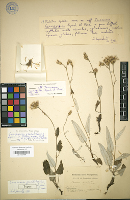 LE 01024898