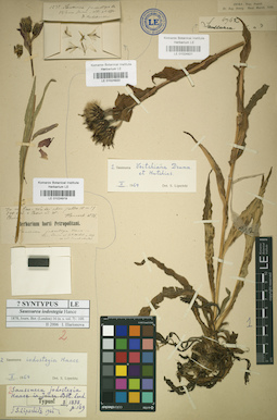 LE 01024919