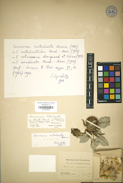 LE 01024927