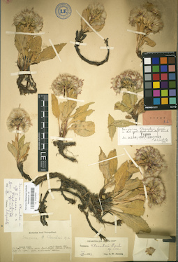 LE 01024940
