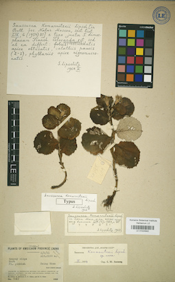LE 01024942