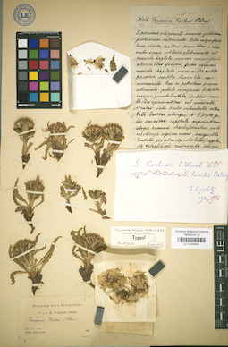LE 01024944