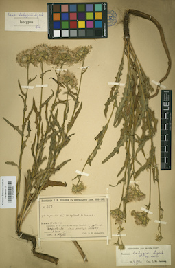 LE 01024955
