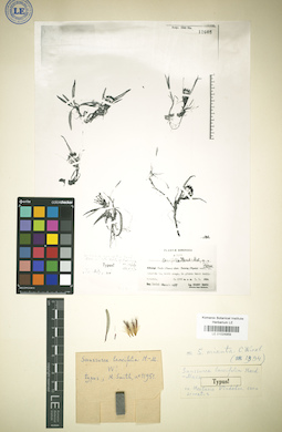 LE 01024959