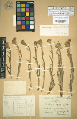LE 01024961