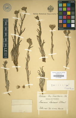 LE 01024962