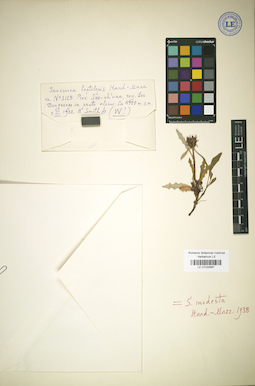 LE 01024967