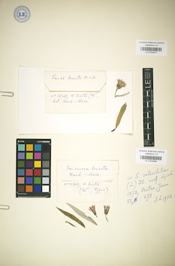 LE 01024969