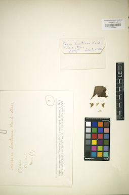 LE 01024971