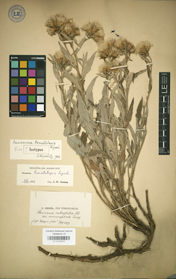 LE 01024974