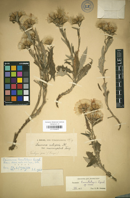 LE 01024975