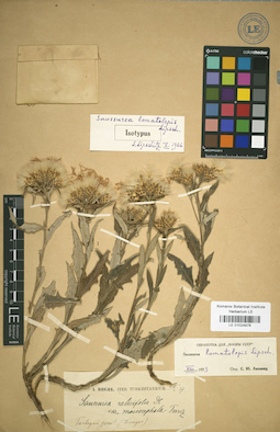 LE 01024976