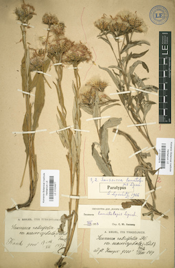 LE 01024978