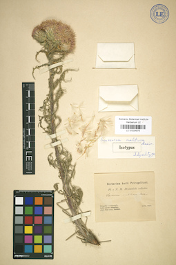 LE 01024979