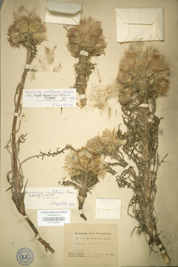 LE 01024980