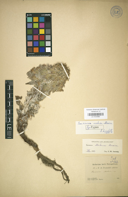LE 01024982
