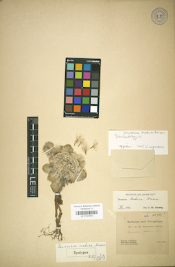 LE 01024983