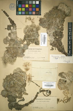 LE 01024988