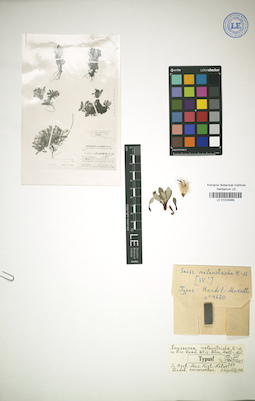 LE 01024989