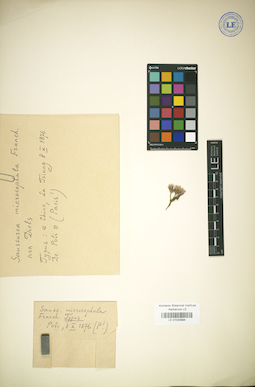 LE 01024994