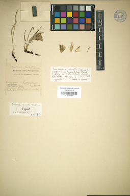 LE 01024995
