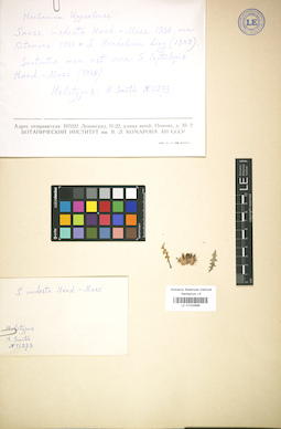 LE 01024996