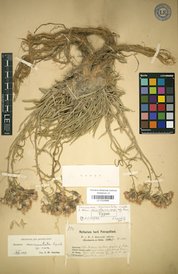 LE 01024999