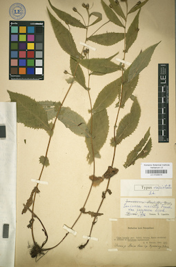 LE 01025014