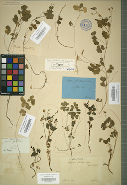 LE 01025020