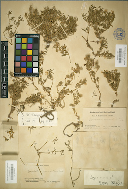 LE 01025037