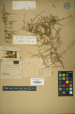 LE 01025060