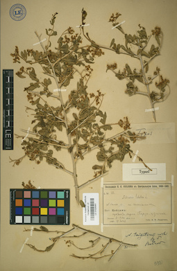 LE 01025061