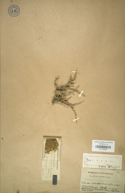 LE 01025064