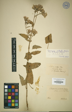 LE 01025068