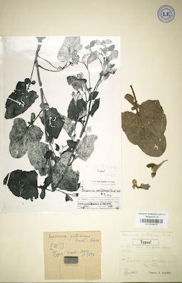 LE 01025070