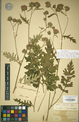 LE 01025072