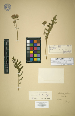 LE 01025073