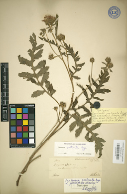 LE 01025074