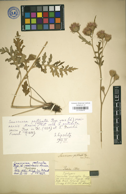 LE 01025075