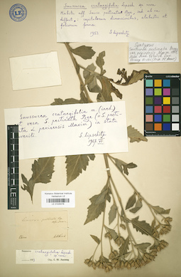 LE 01025076
