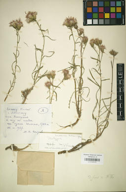 LE 01025078