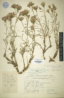 LE 01025079