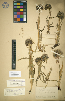 LE 01025082