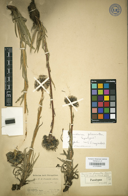 LE 01025083